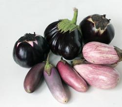 Suluguni ile fırında patlıcan
