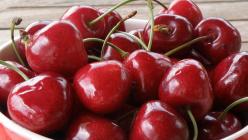 Perché le ciliegie succose sono utili: benefici e danni alla salute umana