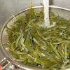 Koja jela se mogu napraviti od morskih algi?