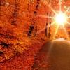 Giorno dell'equinozio d'autunno: tempo di potere e miracoli