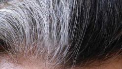 Rimedi popolari per i capelli grigi per gli uomini